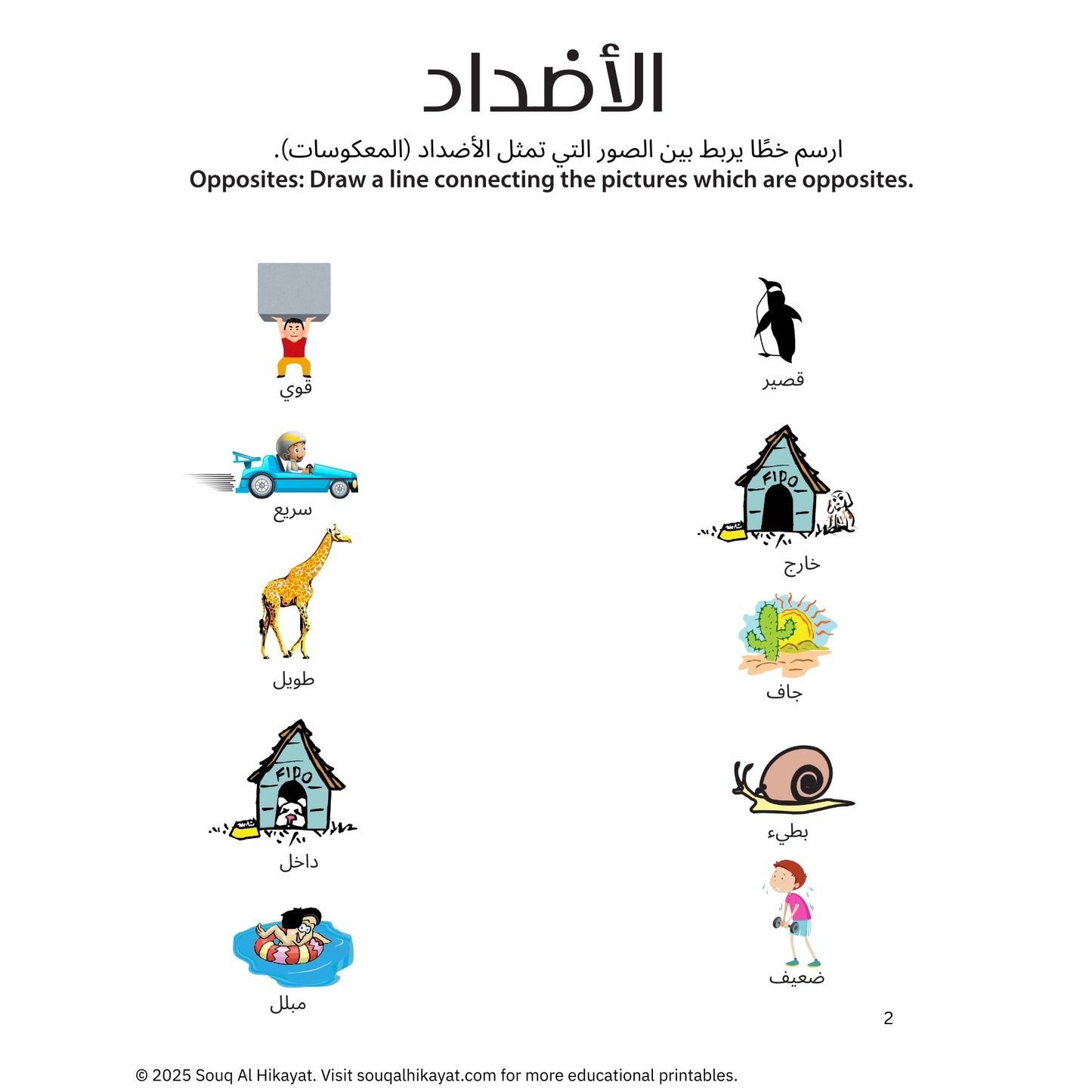 Opposites Worksheet Set of 4 (الأضداد)