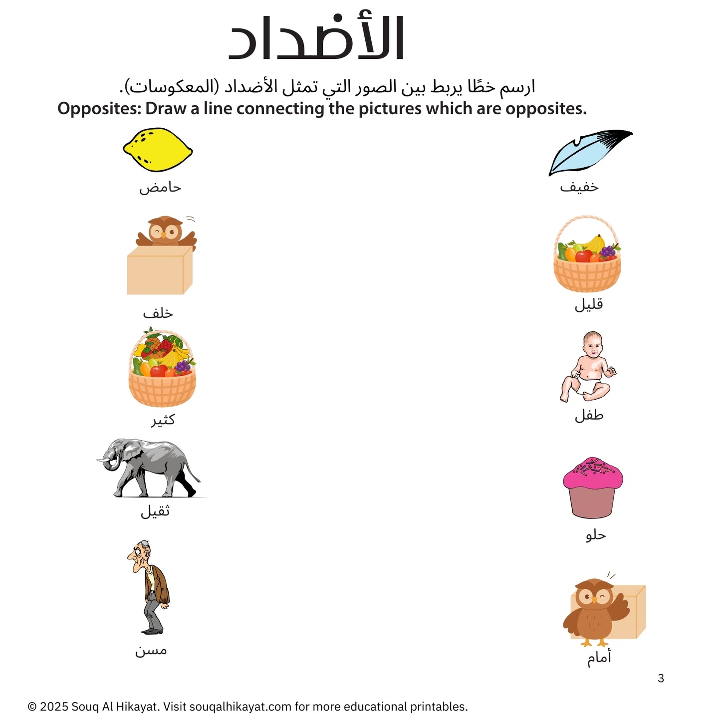 Opposites Worksheet Set of 4 (الأضداد)