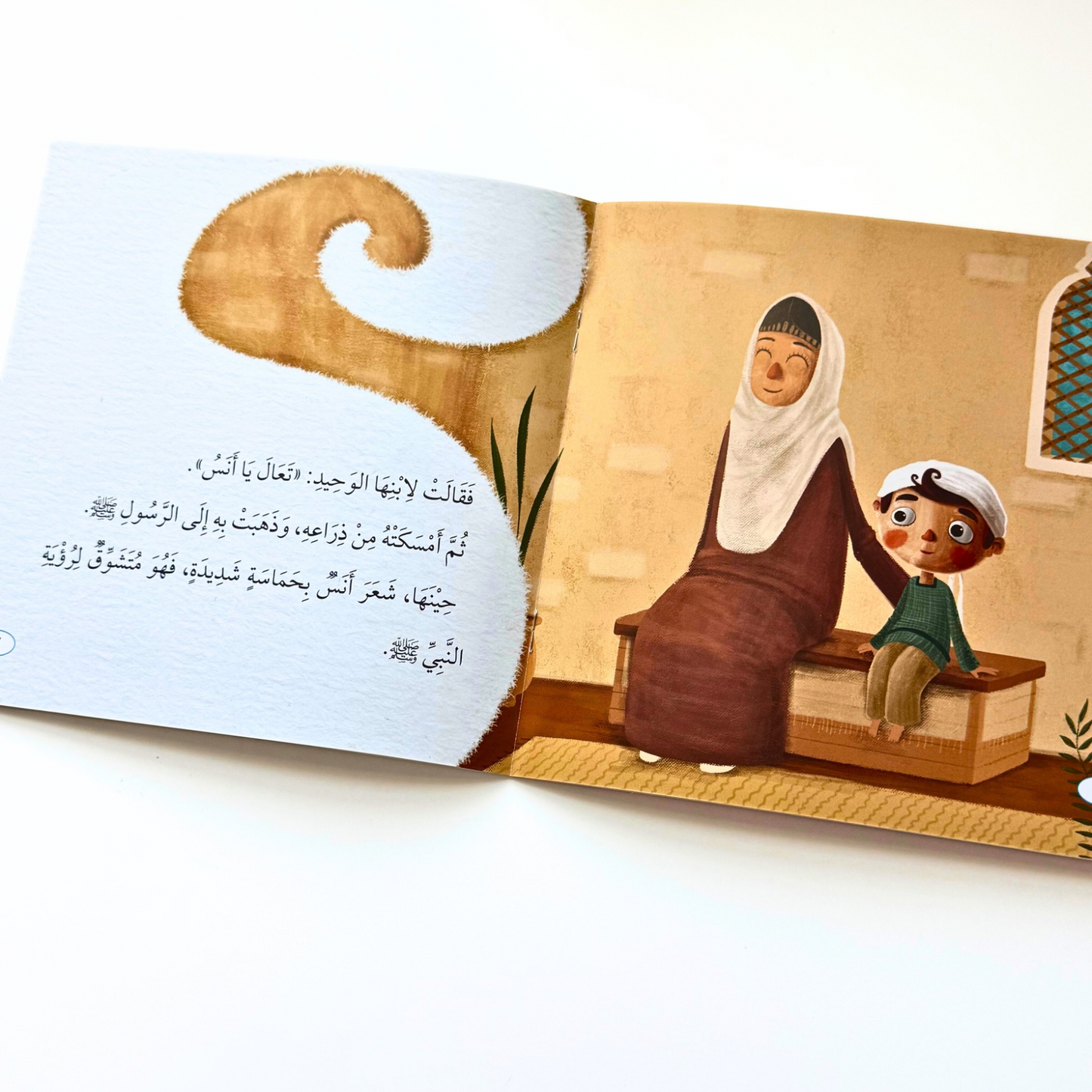 Little Companions Collection | 6 Books