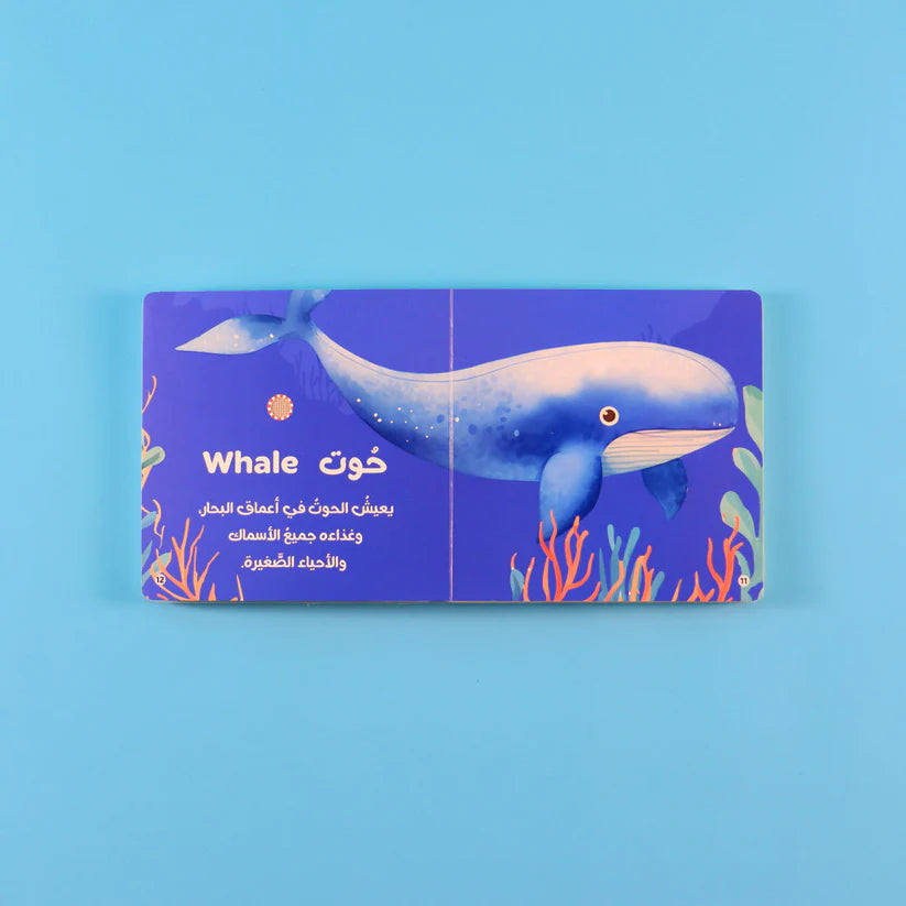 Animal Sounds – 4 Audio Books