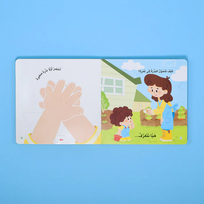 The Little Explorer: Where Food Comes From