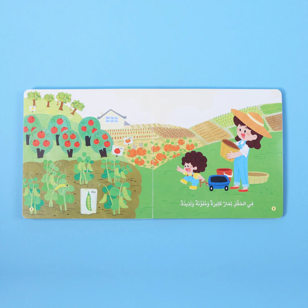 The Little Explorer: Colorful Fruits
