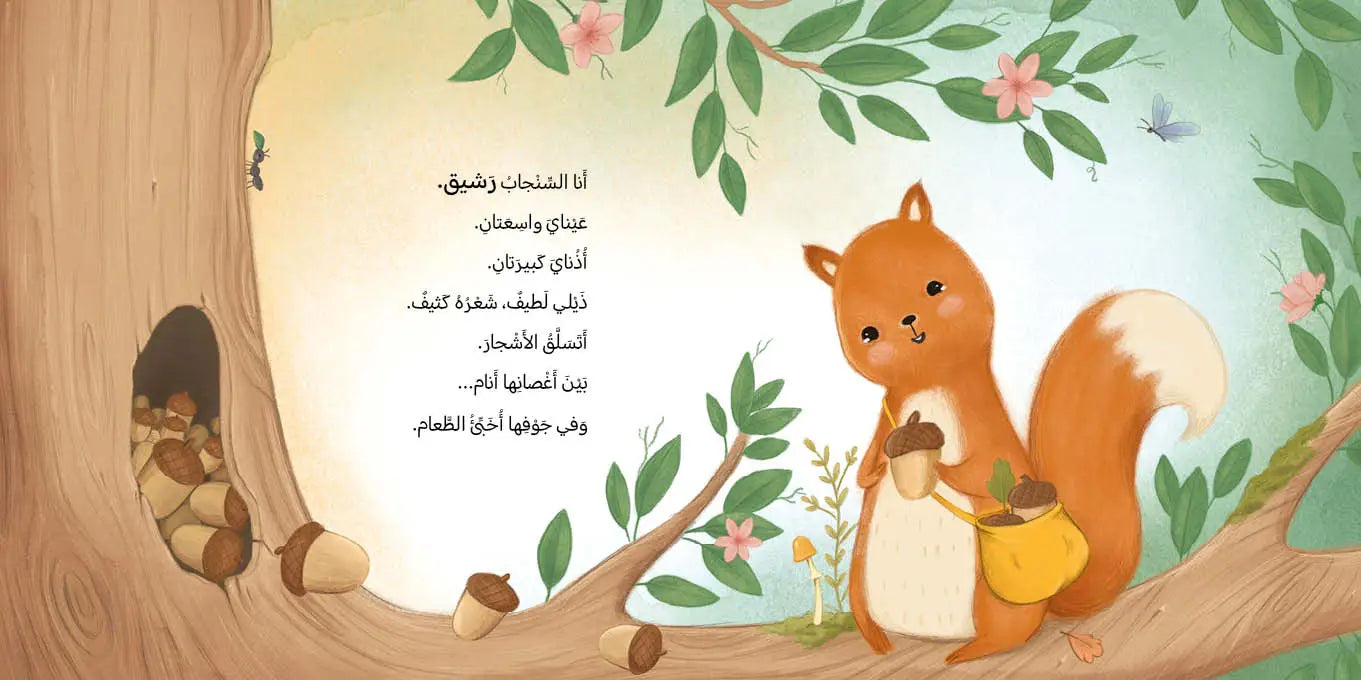 Fold-out activity page from Arabic children’s book teaching about animals and nature