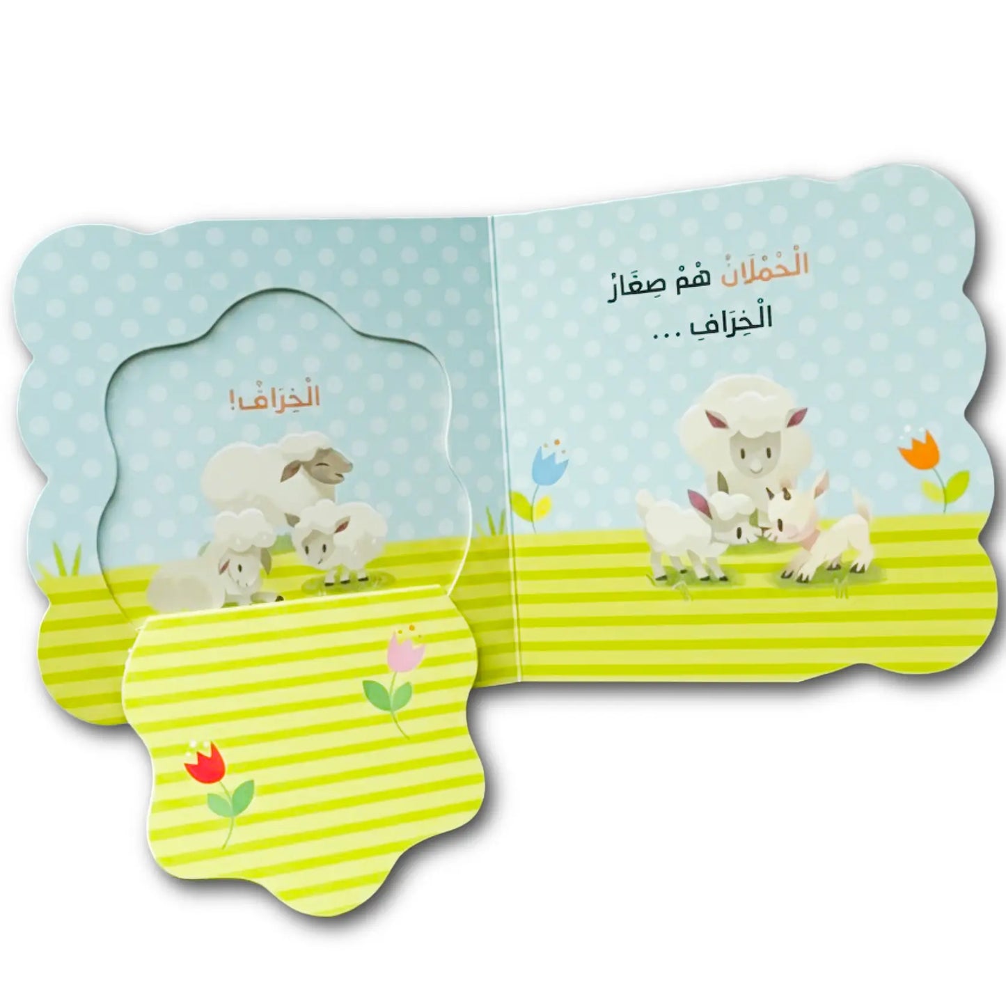 Children's book with cartoon sheep on a white background