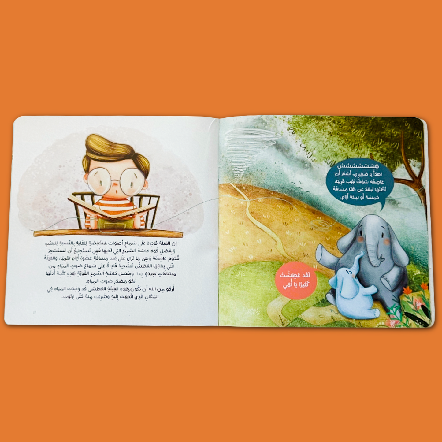 Who Hears Best? من أفضل من يسمع