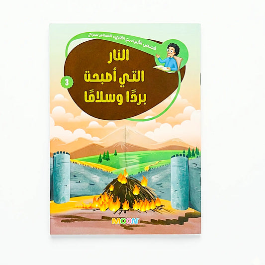 Book cover with a fire, castle, and landscape illustration on a white background