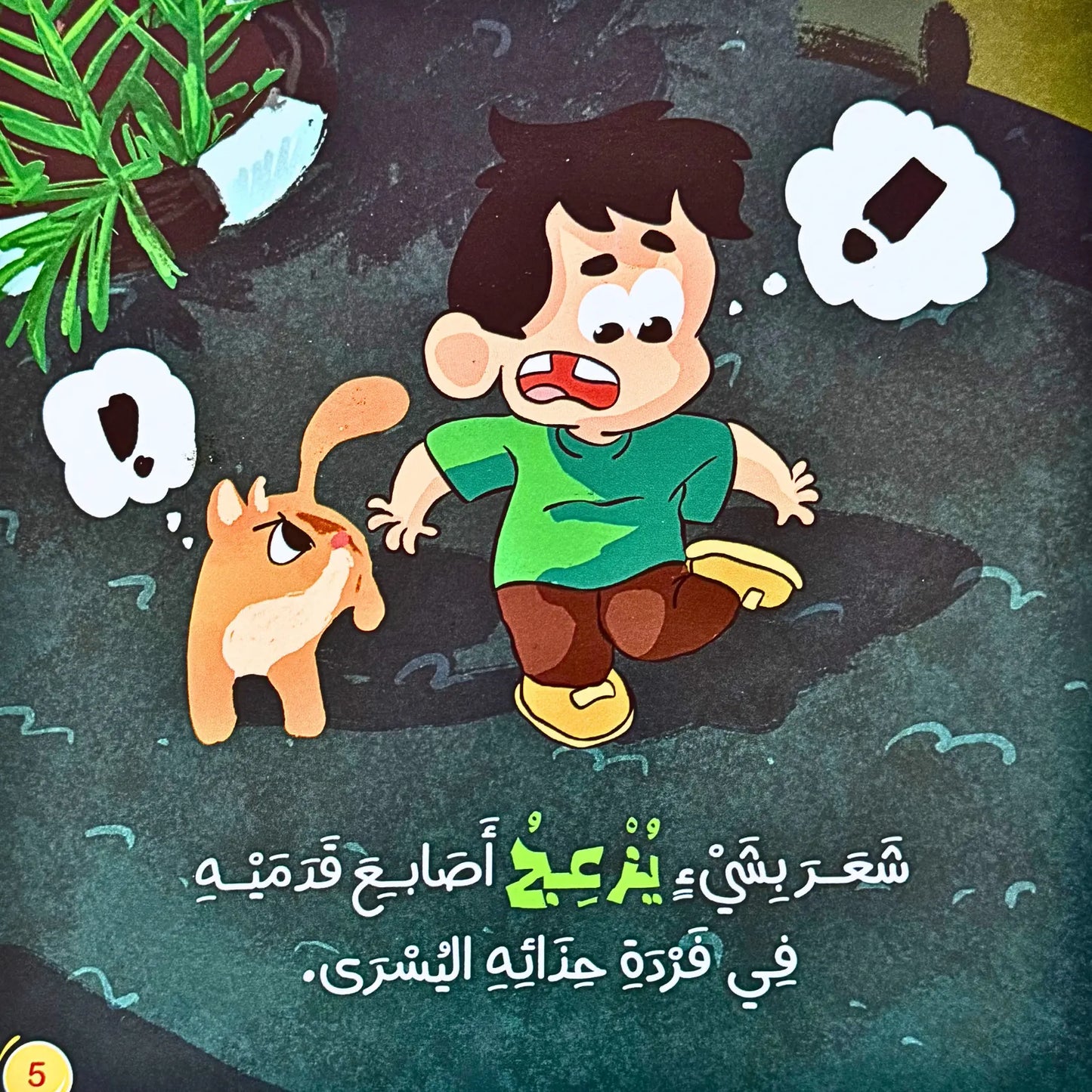 A Pebble in My Shoe -حصاة في حذائي
